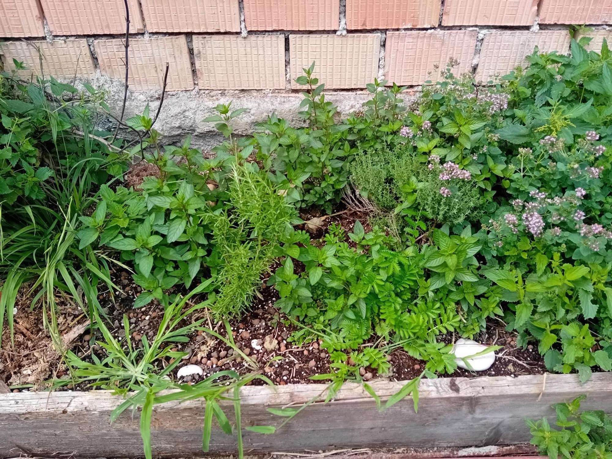 Statek Lägenhet Veverska Bityska Exteriör bild